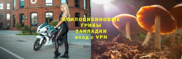МДПВ Абинск