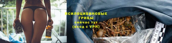 спиды Абаза