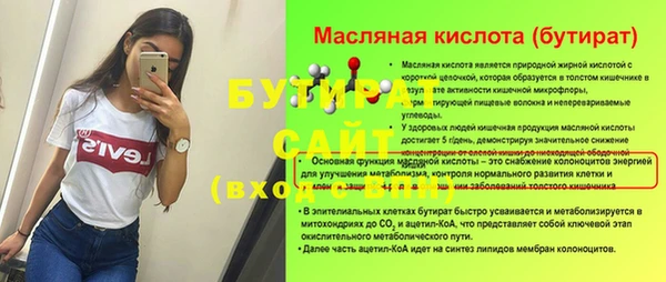 шишки Сатка
