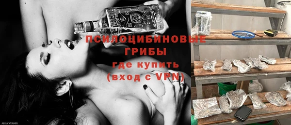 спиды Абаза