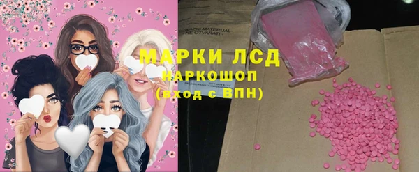 шишки Сатка