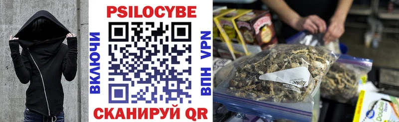 где купить наркоту  Иннополис  Галлюциногенные грибы Cubensis 